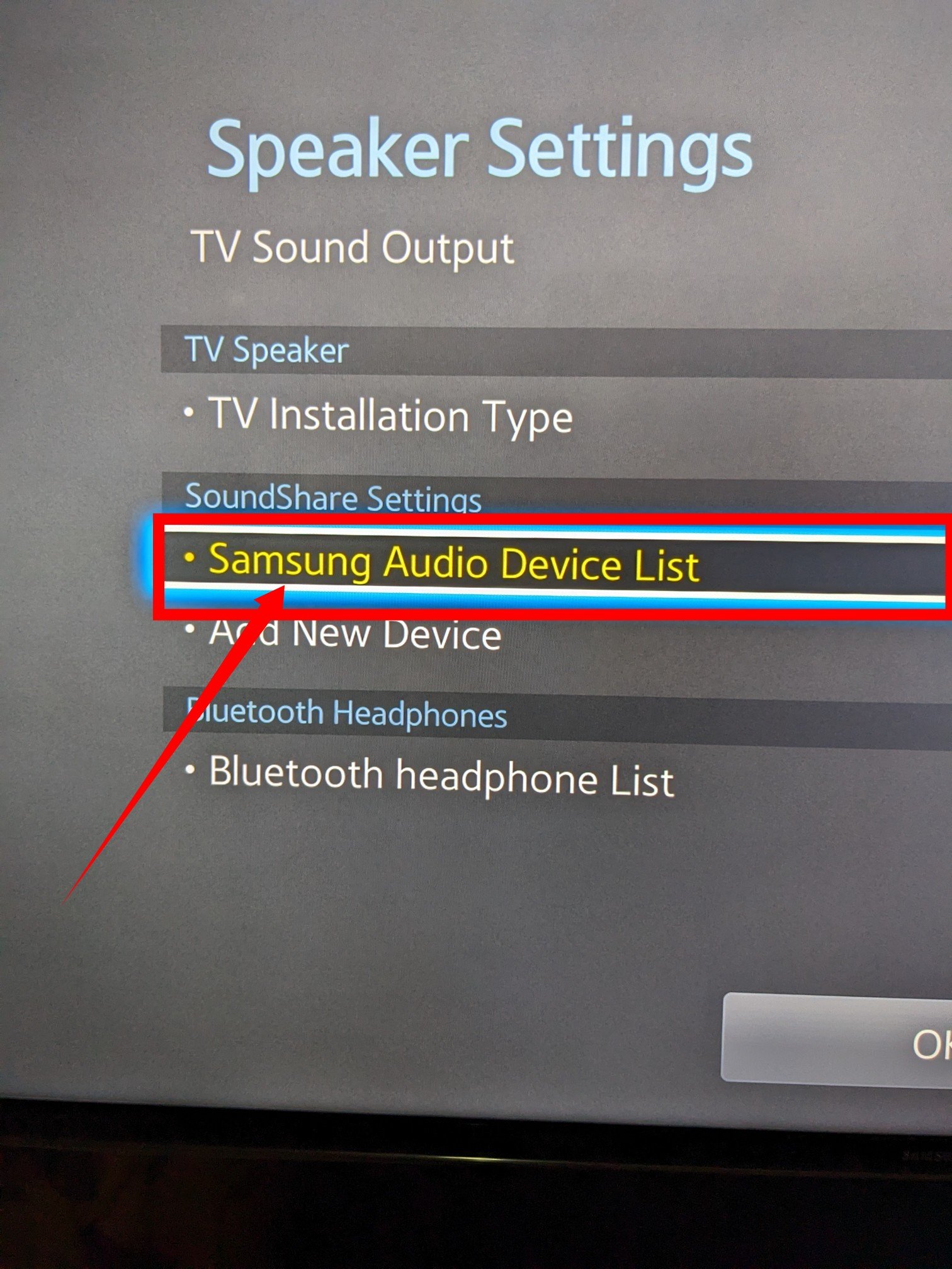 Samsung Audio List menu on Samsung smart TV 