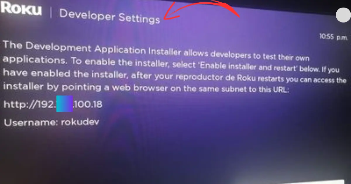 Developer Mode On Roku